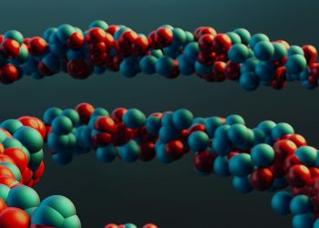 단백질과 DNA 분자 구조