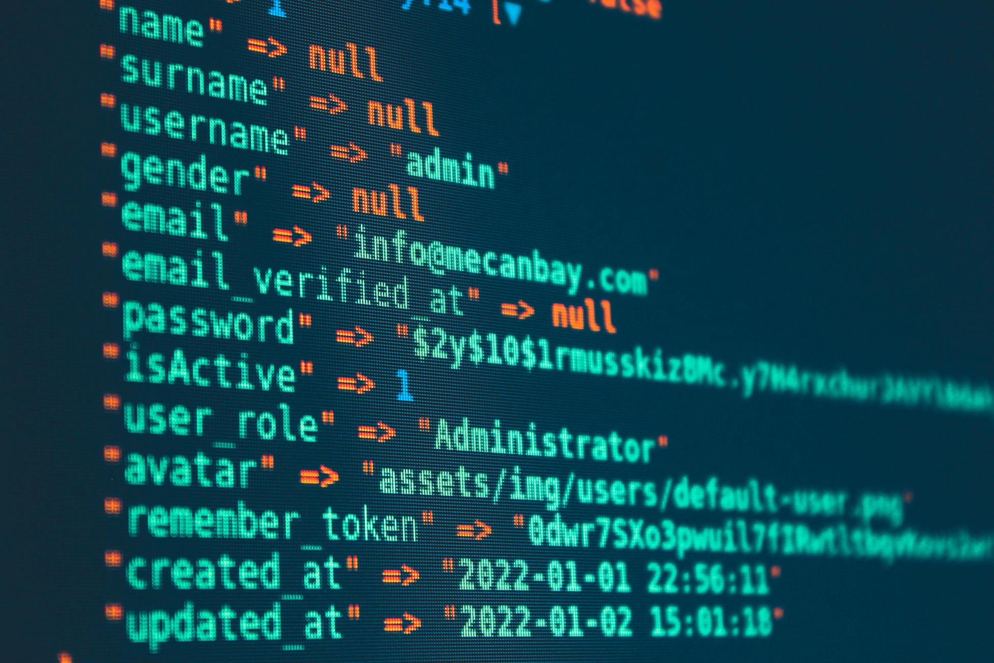 소프트웨어 취약점 분석을 연상시키는 API 데이터 출력 코드 화면