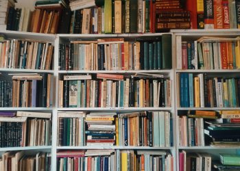 A vast collection of books arranged on wooden shelves in a cozy library setting.