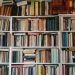 A vast collection of books arranged on wooden shelves in a cozy library setting.