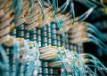 From below of fiber optic switch with sockets and connected rubber cables on blurred background