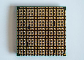 Detailed view of a computer processor, showcasing its pins, against a clean white backdrop.
