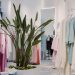Bright and airy boutique featuring pastel garments and a lush green plant centerpiece.
