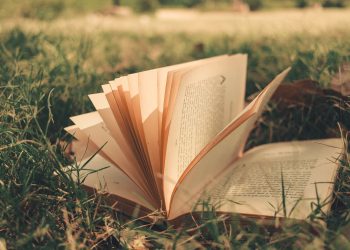 An open book with pages fanned out lies on lush green grass, inviting relaxation and reading in nature.