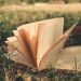 An open book with pages fanned out lies on lush green grass, inviting relaxation and reading in nature.