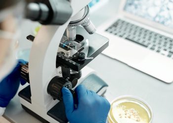 Researcher analyzing biological samples under a microscope in a laboratory.