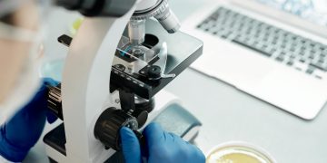 Researcher analyzing biological samples under a microscope in a laboratory.