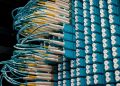 Detailed view of fiber optic patch cables connecting to a blue patch panel in a data center.