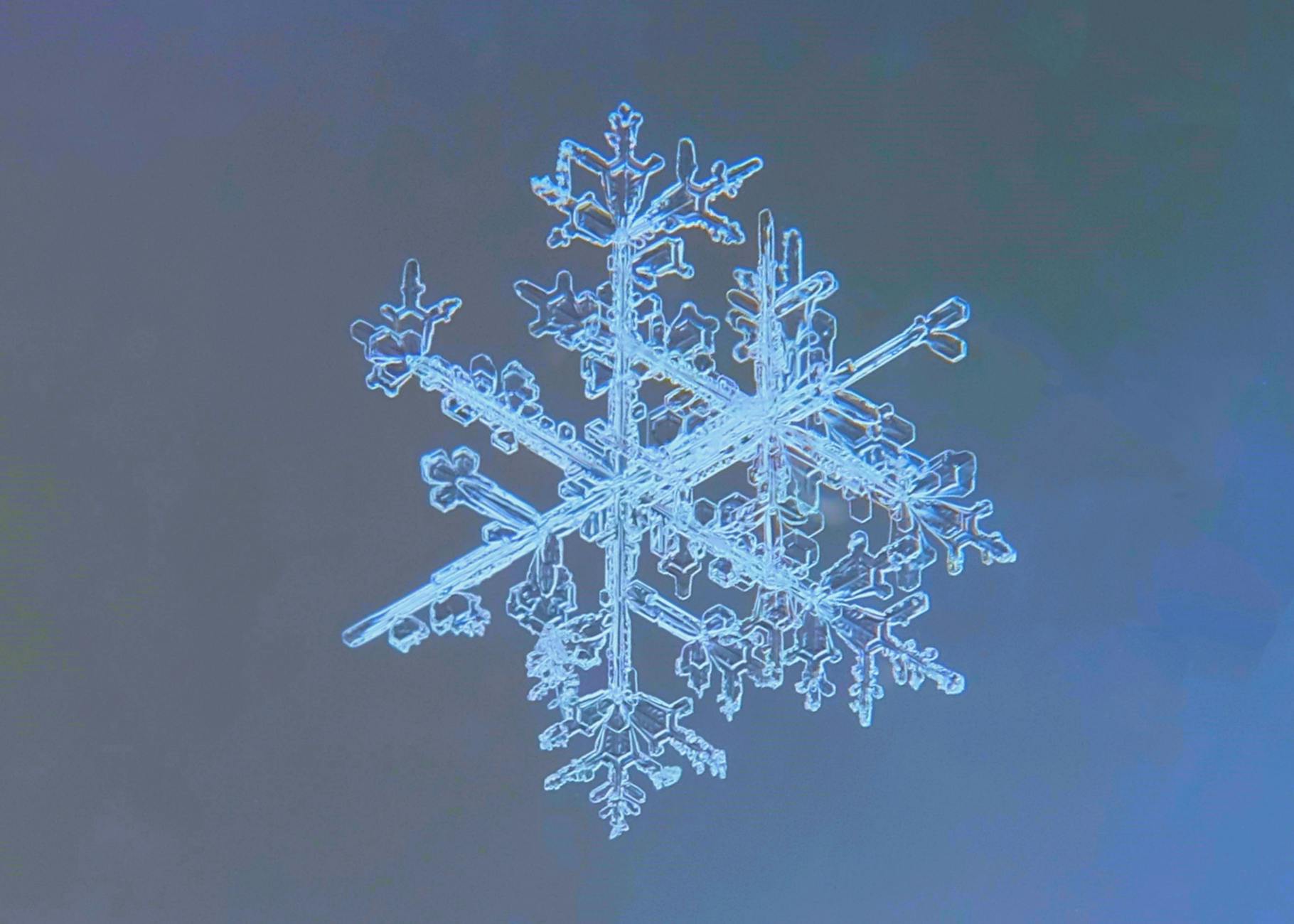 Close-up image showcasing the intricate structure of a snowflake in winter.