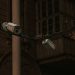 Street security cameras mounted on a pole in an urban environment, highlighting surveillance.