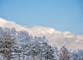 A serene winter view of a snowy forest in Seoul, featuring an airplane against a blue sky.