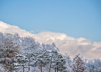 A serene winter view of a snowy forest in Seoul, featuring an airplane against a blue sky.