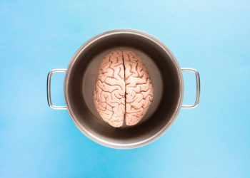 Creative shot of a human brain model in a pot against a blue backdrop, symbolizing mind and thought.