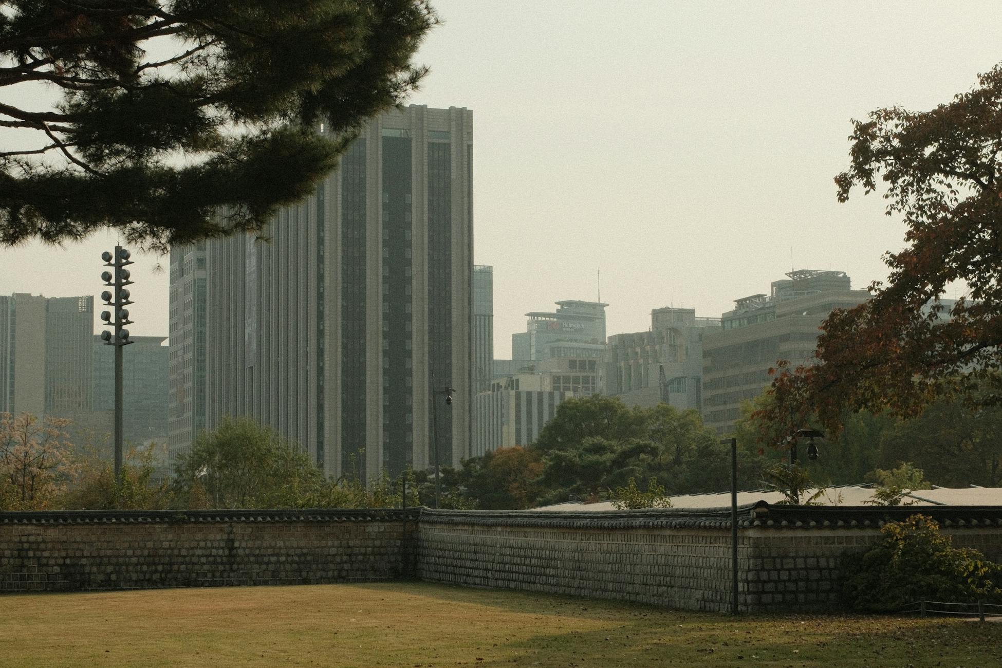 Scenic view of Seoul's urban skyline featuring modern architecture and autumn foliage.