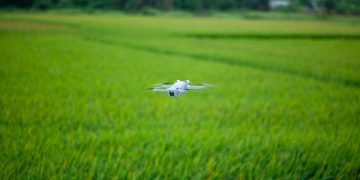 A drone hovering above a vibrant green agricultural field, showcasing modern farming technology.