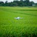 A drone hovering above a vibrant green agricultural field, showcasing modern farming technology.