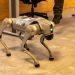A robotic dog stands indoors, showcasing advanced technology with a sleek design.