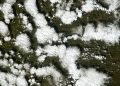 Satellite view showing pattern of snow patches on green ground, illustrating natural beauty.