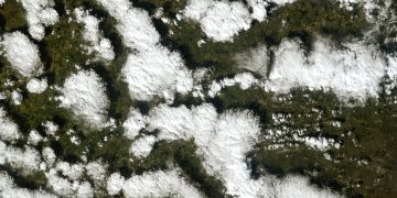 Satellite view showing pattern of snow patches on green ground, illustrating natural beauty.