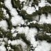 Satellite view showing pattern of snow patches on green ground, illustrating natural beauty.