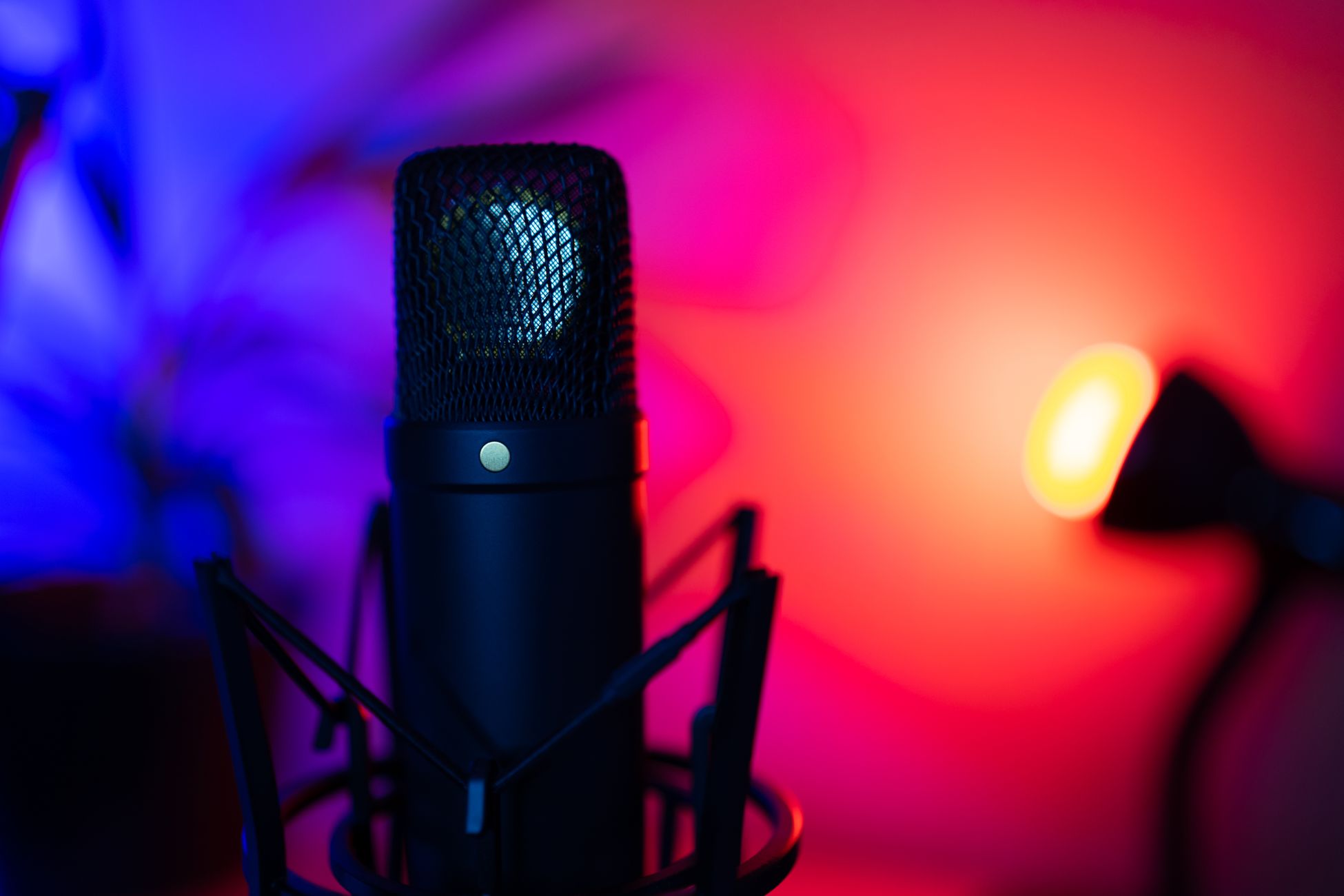 Artistic close-up of a microphone in vibrant neon lighting, perfect for music or podcast themes.