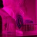 Scientist in a lab coat handling test tubes under pink lighting, using a microscope.