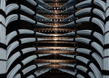 Organized network server cables for efficient data management.