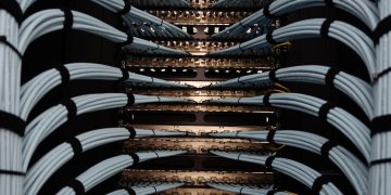 Organized network server cables for efficient data management.