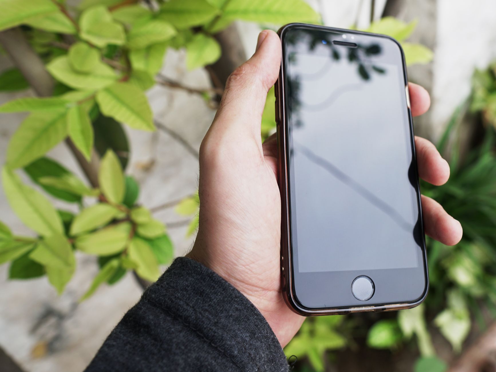 A hand holding a smartphone against a background of green leaves, capturing a modern lifestyle moment.