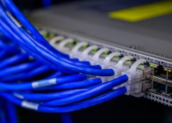Detailed view of blue ethernet cables connected to a network switch in a data center.