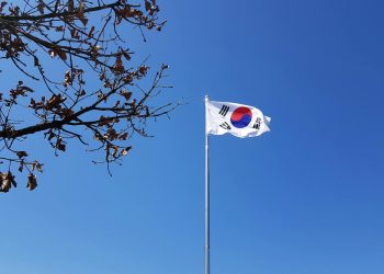 South Korean flag on a flagpole against a vibrant blue sky with tree branches.