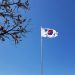 South Korean flag on a flagpole against a vibrant blue sky with tree branches.