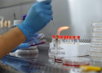 Close-up of a scientist conducting an experiment with petri dishes and a Bunsen burner in a laboratory.