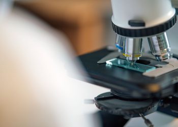 Detailed view of microscope slide setup, essential for biological research.