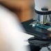 Detailed view of microscope slide setup, essential for biological research.