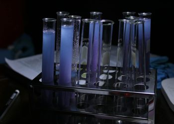 A vivid array of purple solutions in test tubes during a chemical experiment.