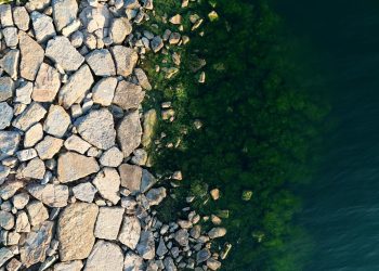 Aerial photograph showcasing rocky shoreline and green algae in Kocaeli, Türkiye.