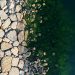 Aerial photograph showcasing rocky shoreline and green algae in Kocaeli, Türkiye.