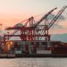 Container cranes at a bustling port during sunset, creating a vibrant industrial scene.