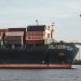 Cargo ship with containers and cranes in Hamburg port.