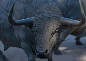 Close-up of a bronze bull statue outdoors, showcasing its powerful horns and detailed craftsmanship.