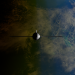 A satellite orbiting Earth showcasing contrasts between ocean and land from space.