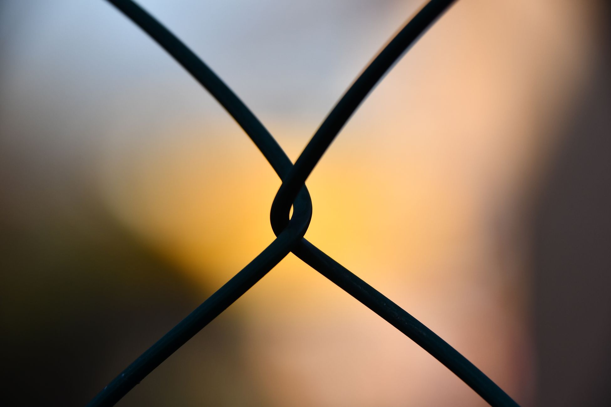 A close-up of a wire fence against a blurred sunset backdrop, creating a silhouette effect.