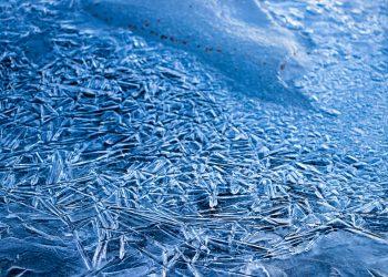 Detailed view of intricate ice patterns on a frozen surface in winter.