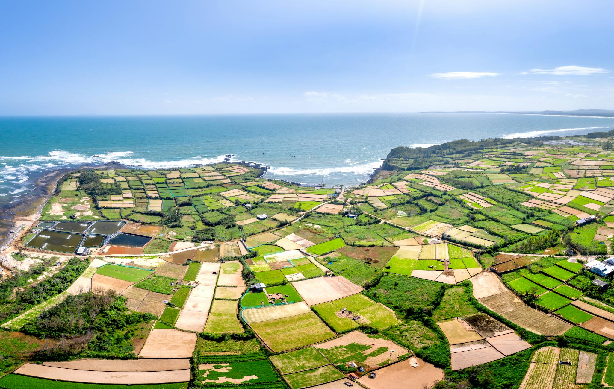 Breathtaking aerial view of lush farmland by the ocean, displaying rich patchwork patterns.