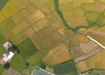 Aerial shot showcasing the patchwork of rice paddies in vibrant colors near Nha Trang, Vietnam.