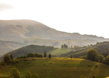 Peaceful early morning view of misty hills and lush forests in a serene landscape.