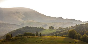 Peaceful early morning view of misty hills and lush forests in a serene landscape.