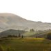 Peaceful early morning view of misty hills and lush forests in a serene landscape.