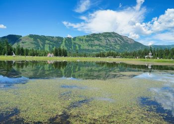 A serene mountain lake reflecting blue skies and lush greenery, perfect for nature lovers.
